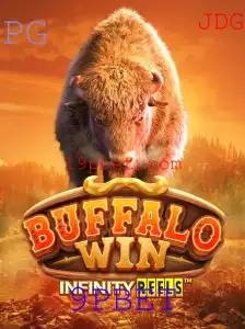 BuffaloWin: O Novo Sensação no Mundo dos Jogos com 9PBET